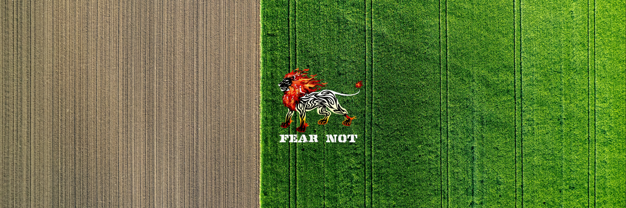 Fear Not Brand