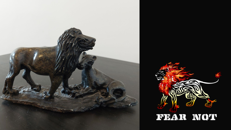 FEAR NOT is a story about a young lion.